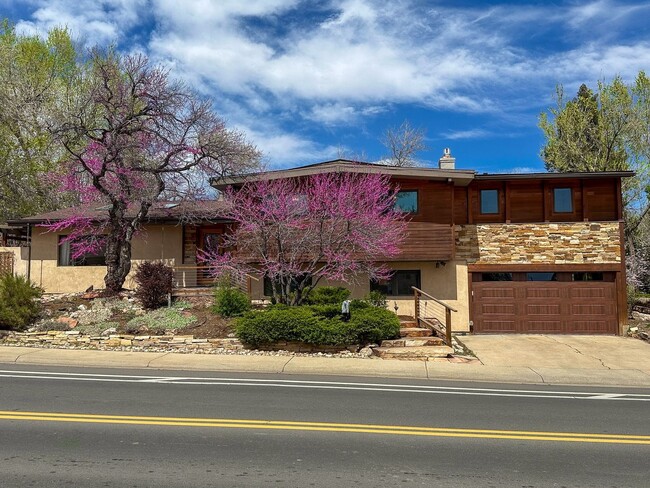 Primary Photo - Executive Rental Available for Immediate M...