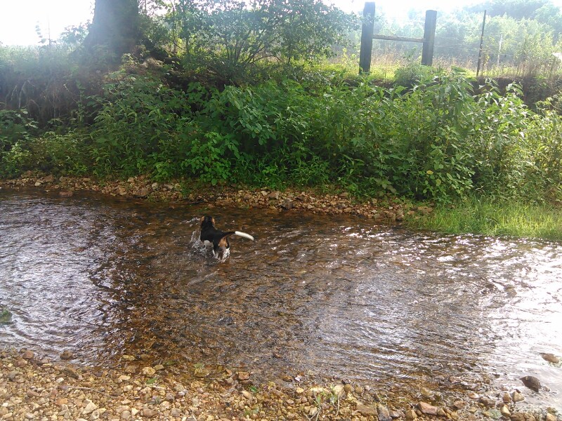 Building Photo - 8310 Middle Butler Rd