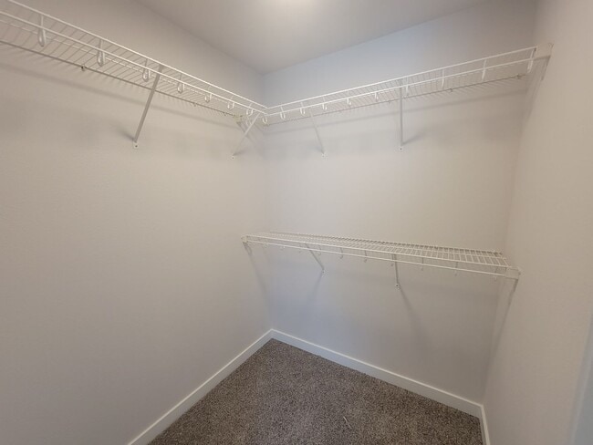 Building Photo - 4-Bedroom Gem in Pasco – Fresh Paint, New ...