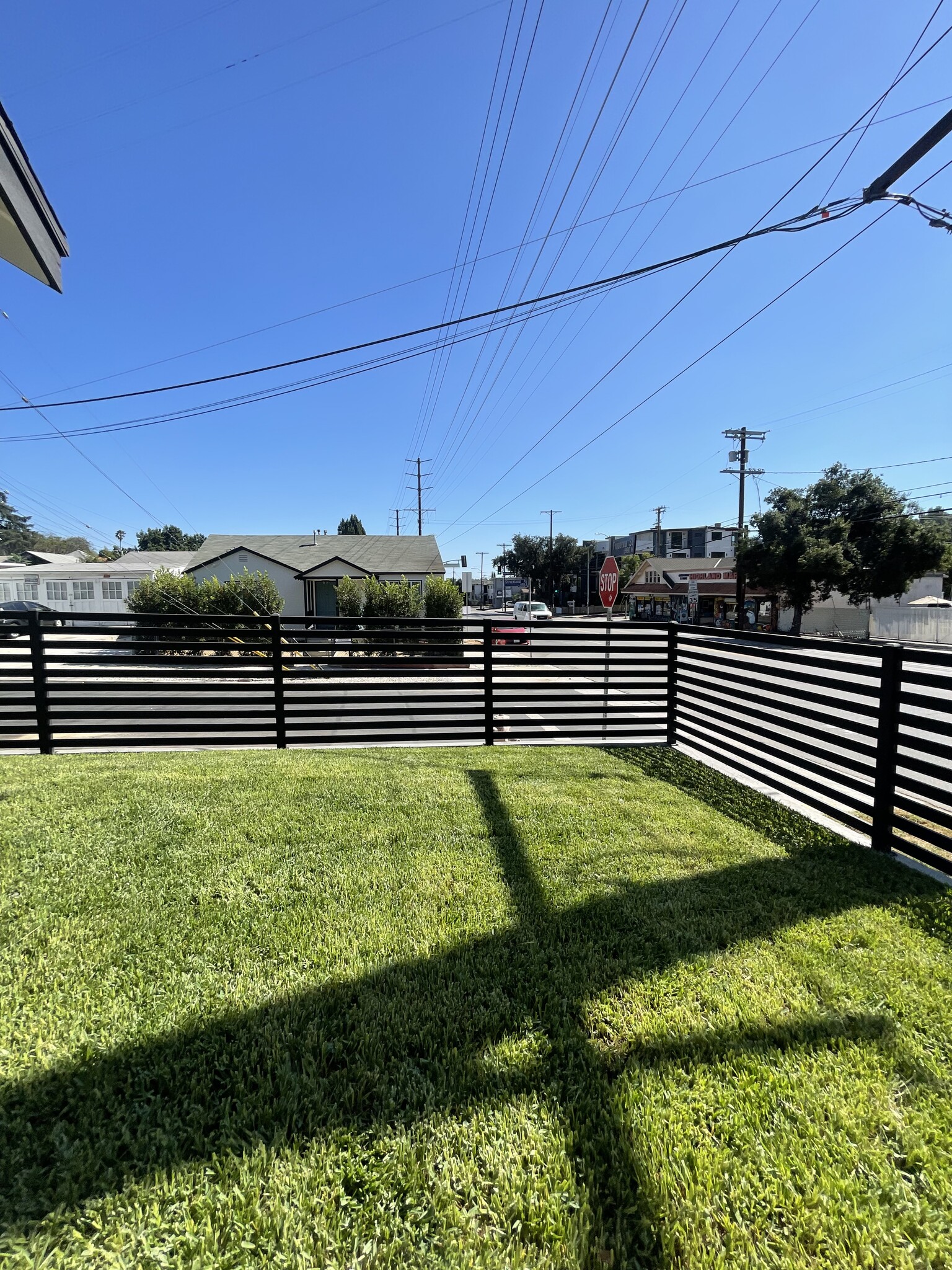 front yard - 6902 N Figueroa St