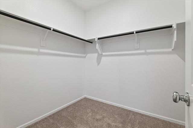 Building Photo - 431 Wydown Dr