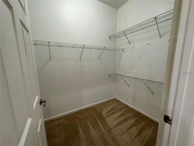 Building Photo - 3351 Whitestone Cir