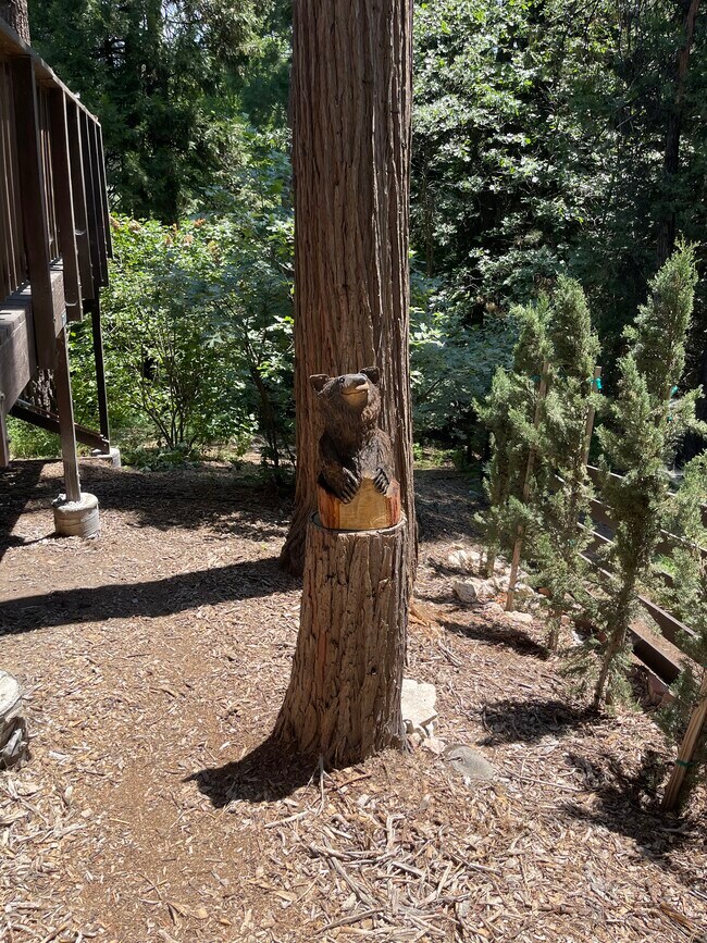 Patio - 26772 CA-189