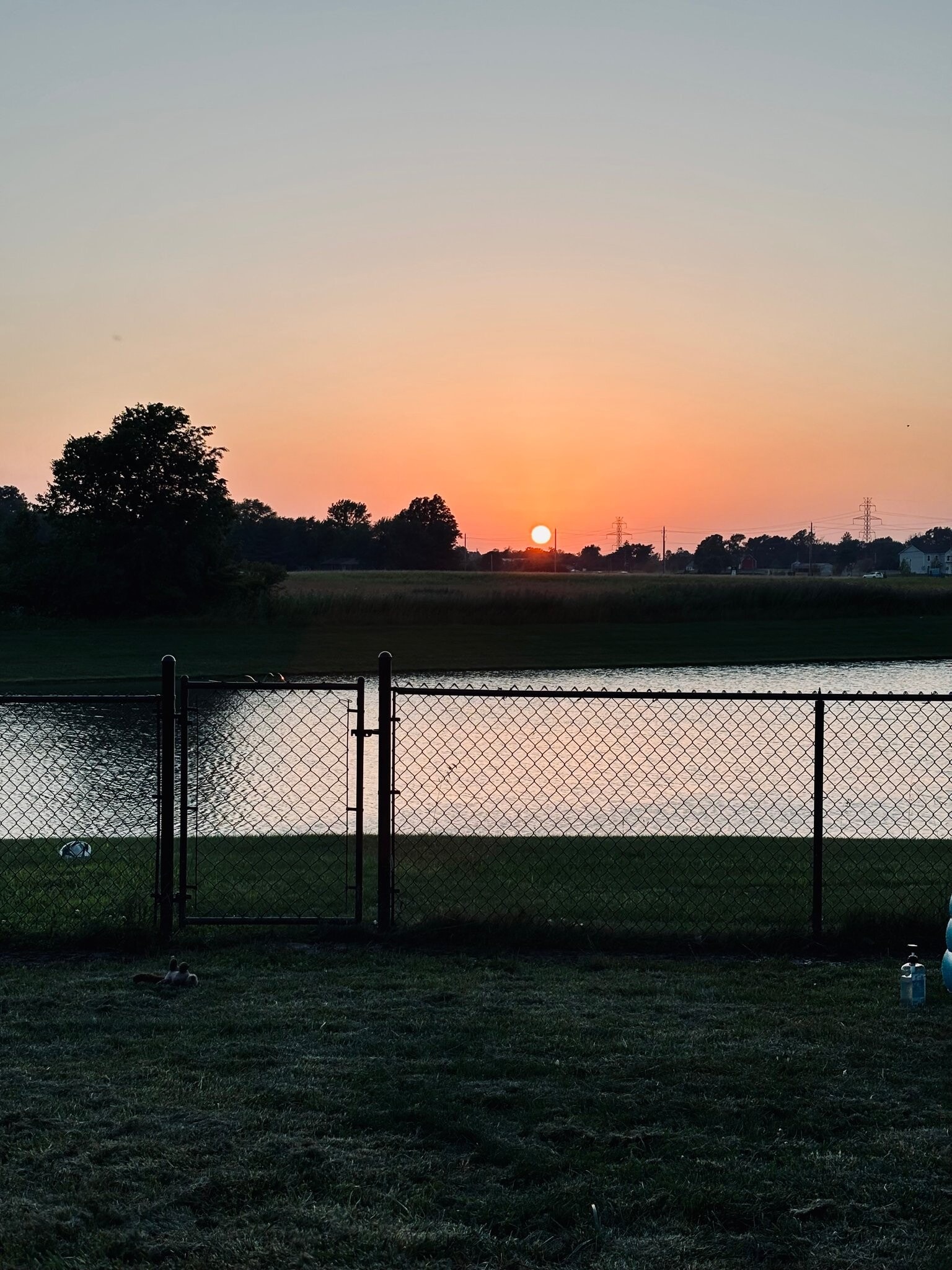 Building Photo - 4150 Viva Ln