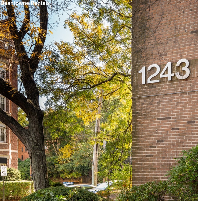 Building Photo - 1243 Beacon St
