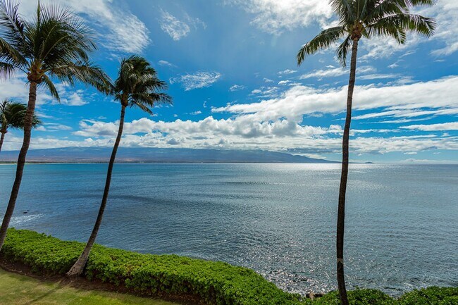 Building Photo - 150 Hauoli St