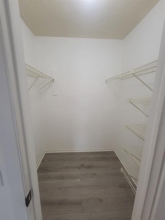 Building Photo - 11411 Pike Ct