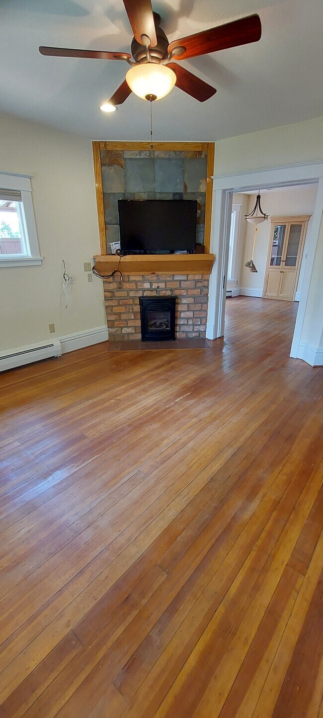 gas fire place - 520 S 9th St