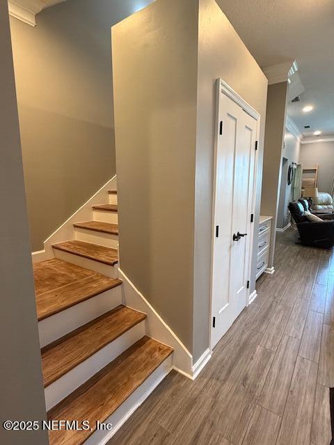 Building Photo - 1749 Fiddlers Ridge Dr