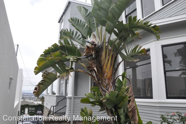 Building Photo - 2131 Albatross St