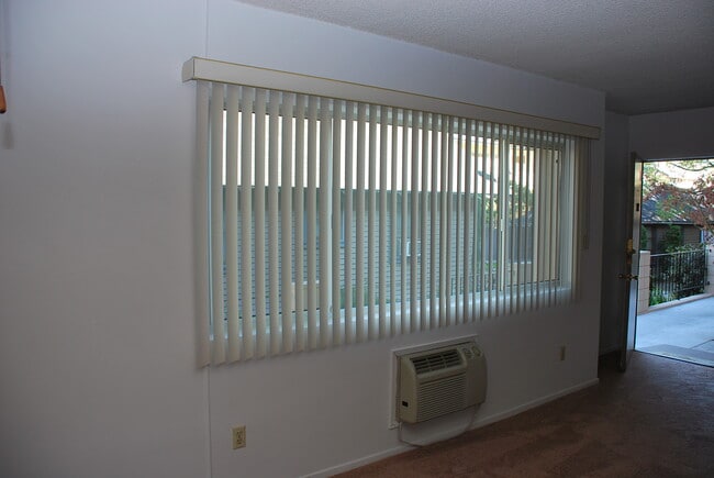 Living room front window - 236 S Mentor Ave