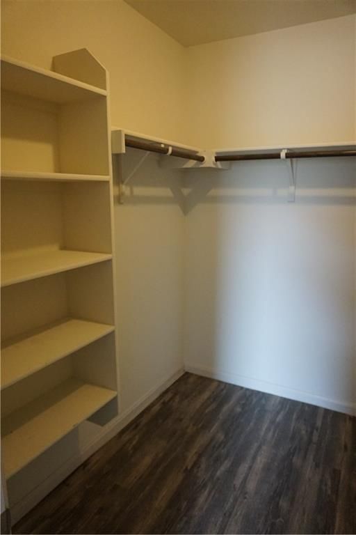 Building Photo - 4 Bed, No Carpet Home in Kyle, Available for July Move-In