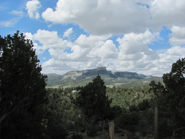 Building Photo - Charming Southwestern Stucco Home