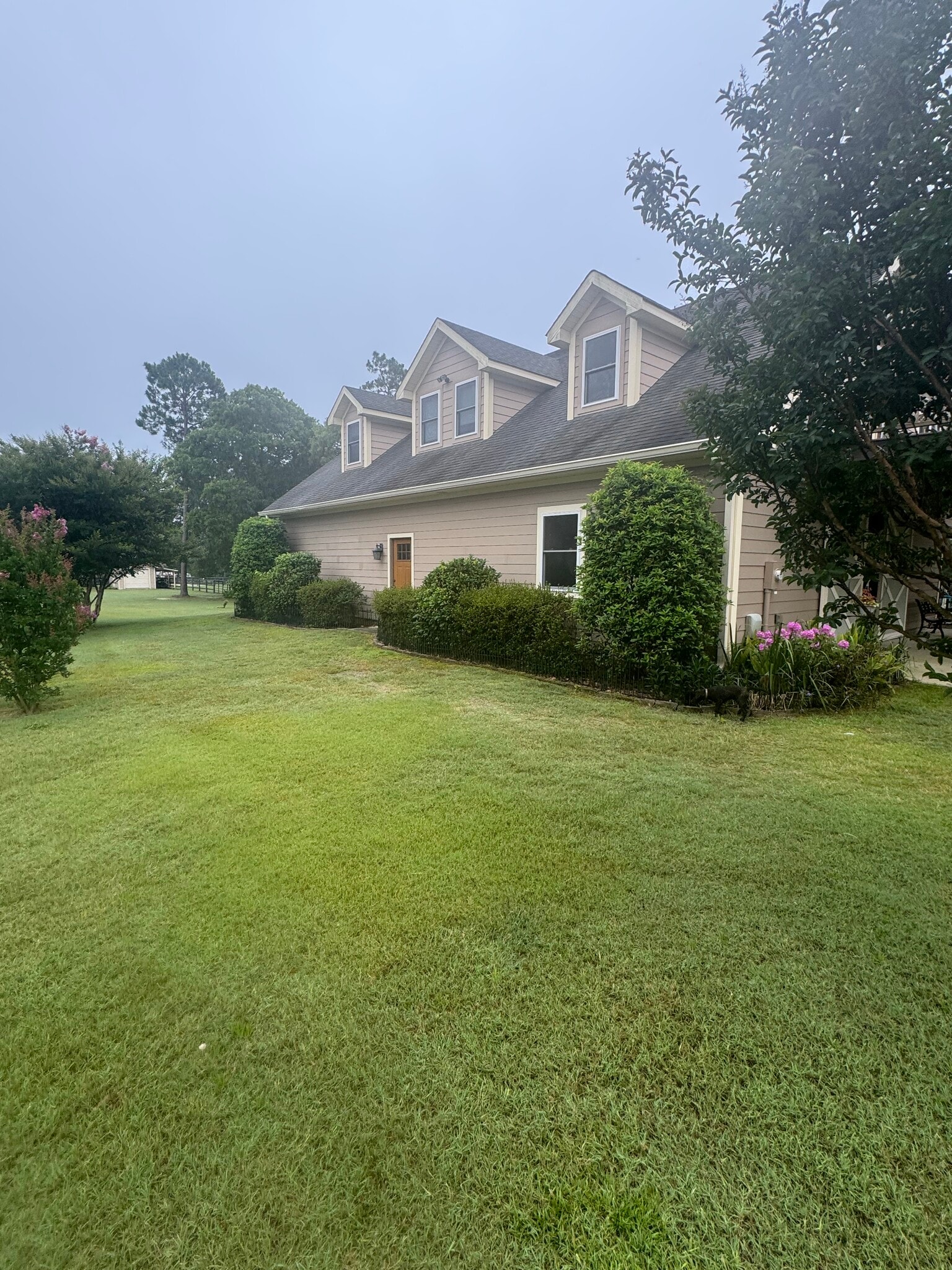 View of front - 970 Shell Bluff Dr