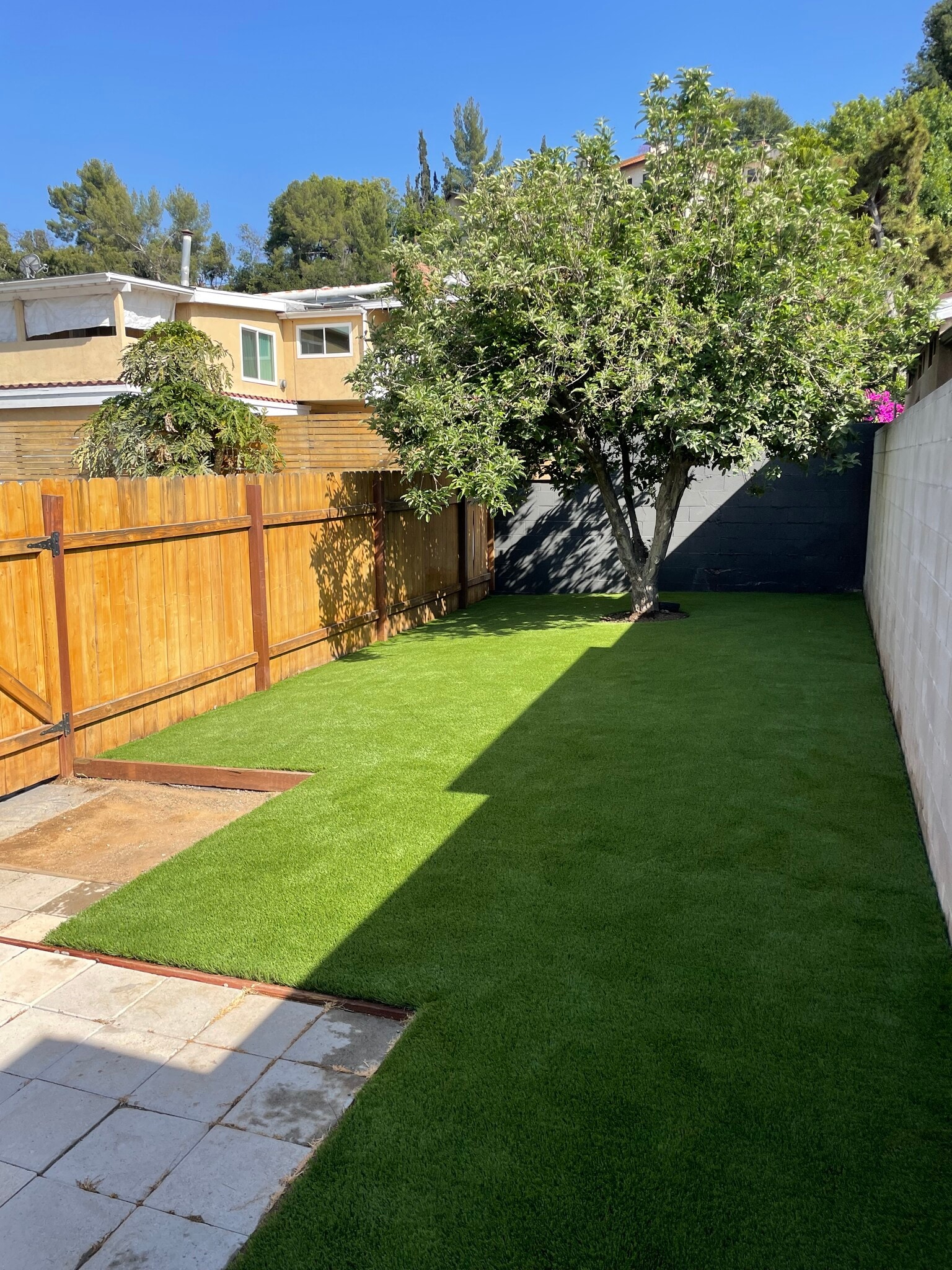 Private back yard - 4336 Toland Way