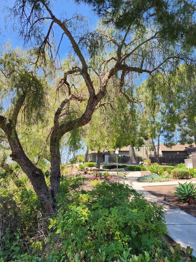 Building Photo - Tierrasanta 3 bed 2 ba Townhouse with Canyon View