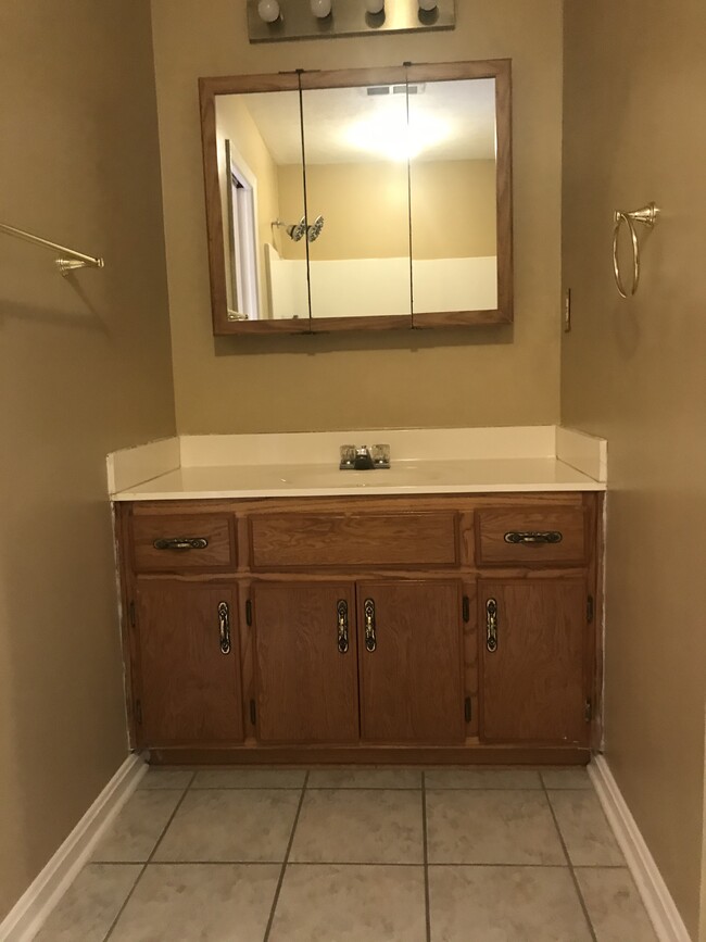 Master Bath - Vanity - 5909 Lake Huron Ct