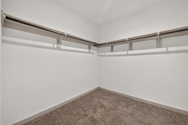 Building Photo - 8043 Black Forest Ln