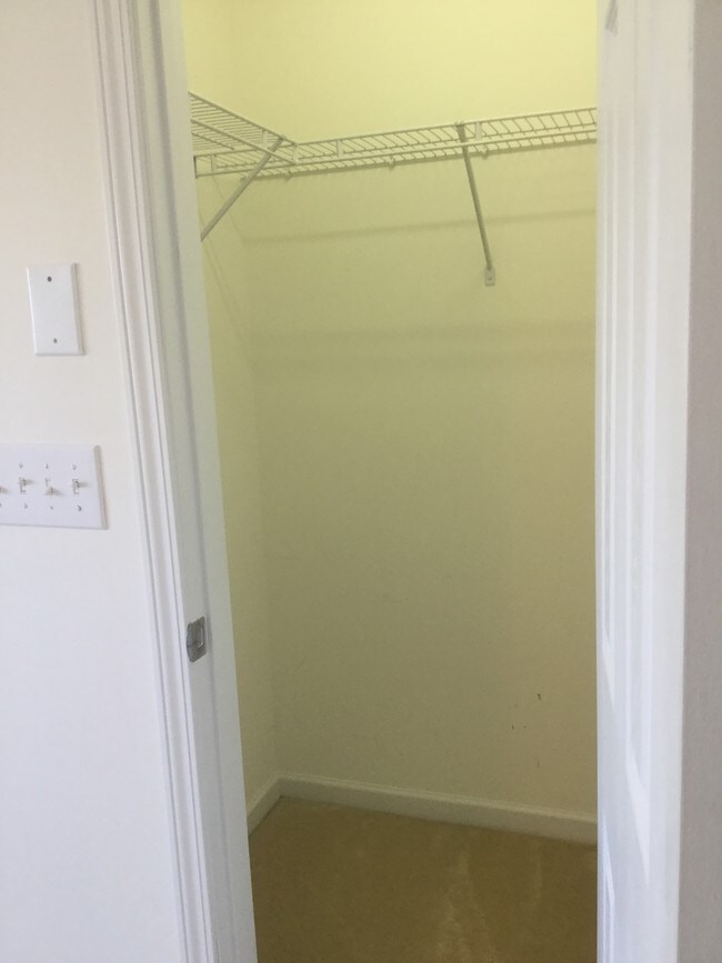 Building Photo - 8217 Martello Ln