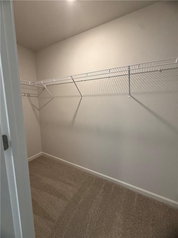 Building Photo - 5980 Skylar Dr