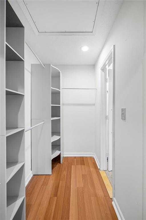 Building Photo - 1809 Augusta Dr