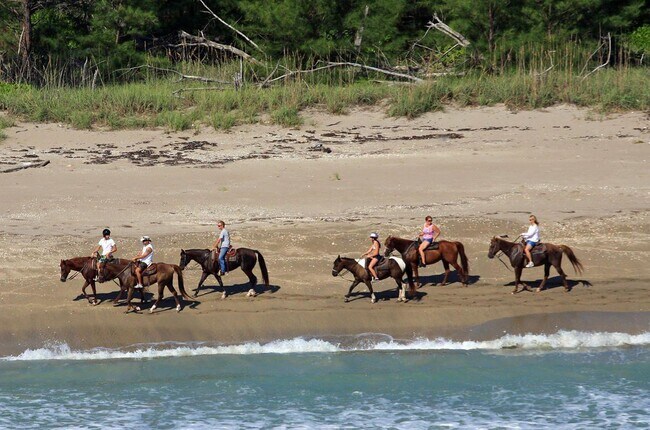 Building Photo - 156 SW Peacock Blvd