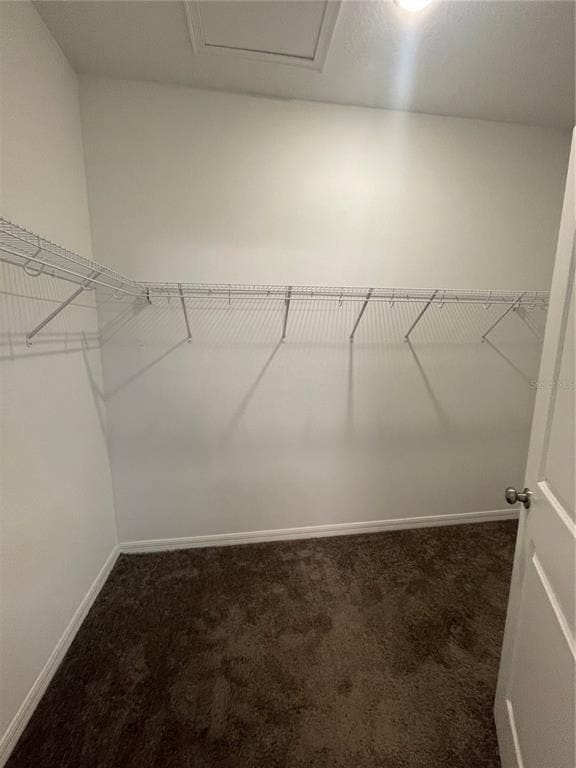 Building Photo - 6625 Great Bear Dr