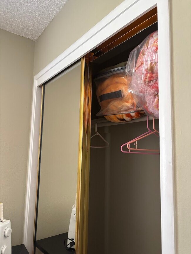 Closet in bedroom #4 FURNITURE IN PHOTOS FOR DISPLAY ONLY - 990 Helen Ave