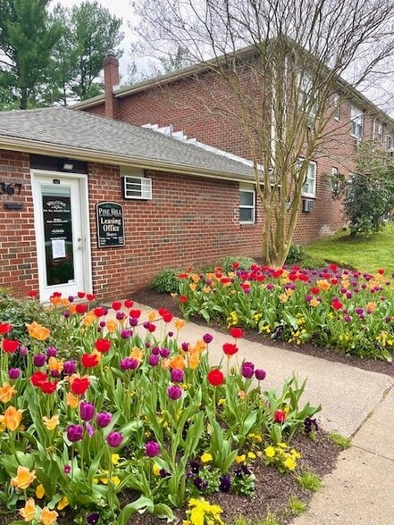 Building Photo - Pine Hill Apartments