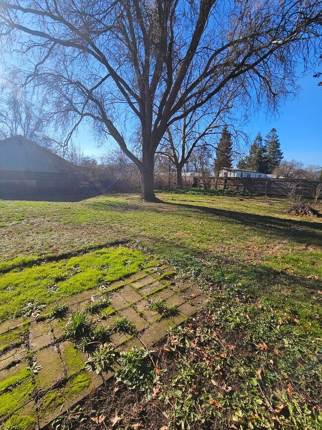 Building Photo - 1803001