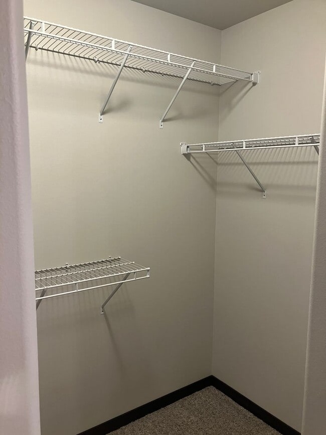 Building Photo - 4 Bed 3 Bath Single Family Home