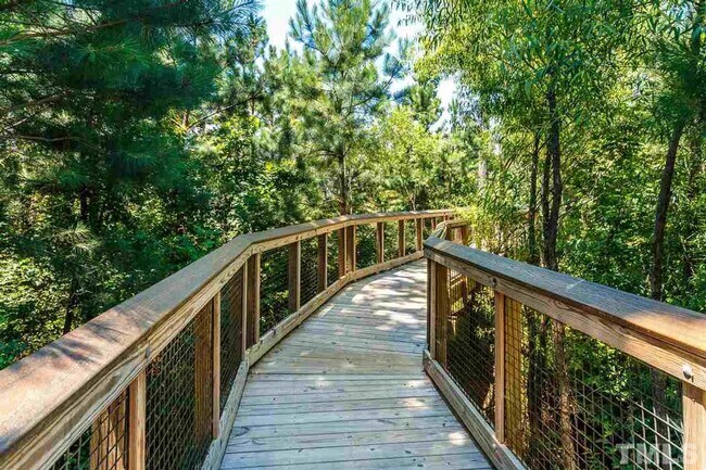Building Photo - 1207 Falling Rock Pl