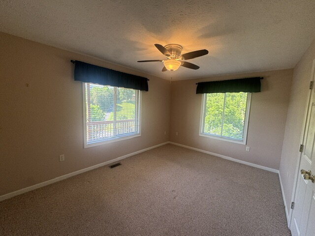 Building Photo - Mountain Home with Panoramic Skyline Drive Views available June 30th!