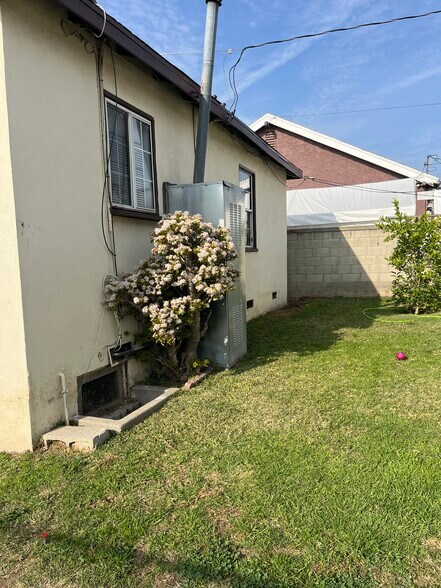 Back yard - 652 School Ave