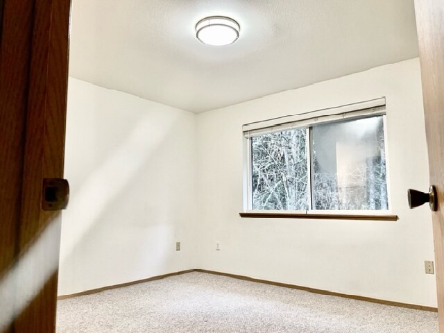 Master Bedroom-Window - 24615 104th Ave Ct E