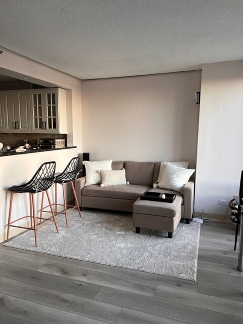 Living Room - 440 N Wabash Ave