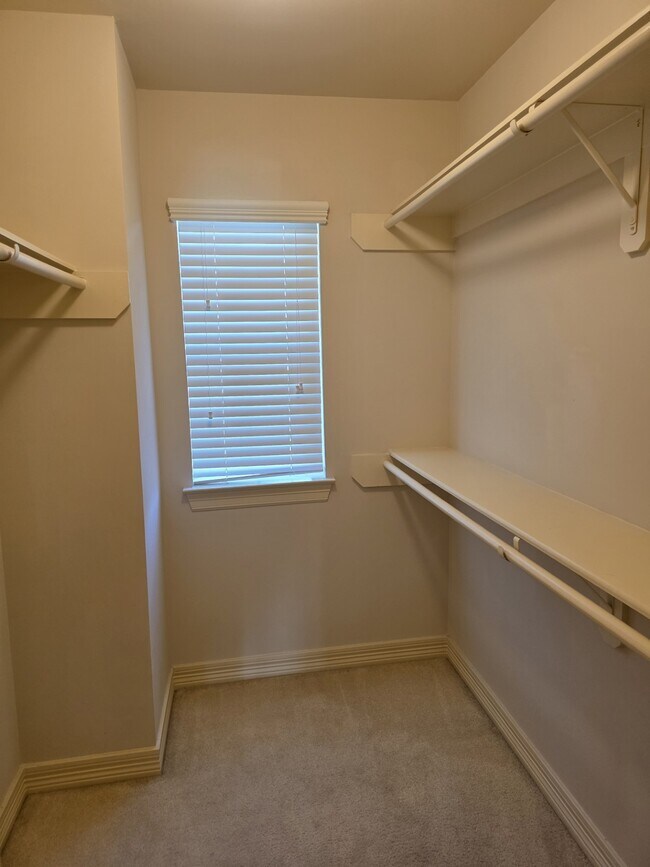 Building Photo - 7006 Paxton Ct