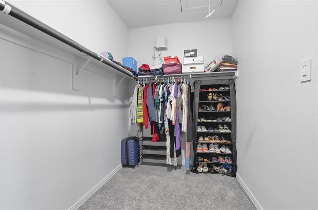 Building Photo - 3004 Brittlebush Dr