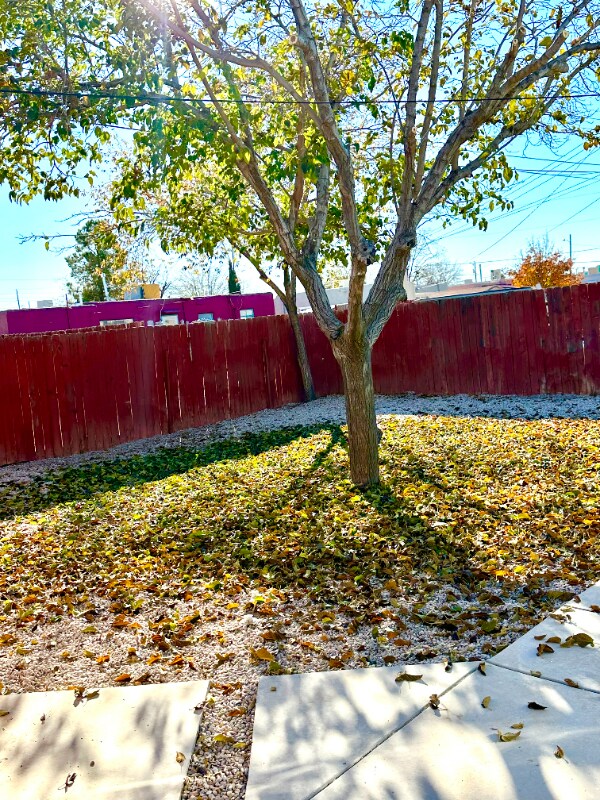 Building Photo - 1010 Indian Wells Rd