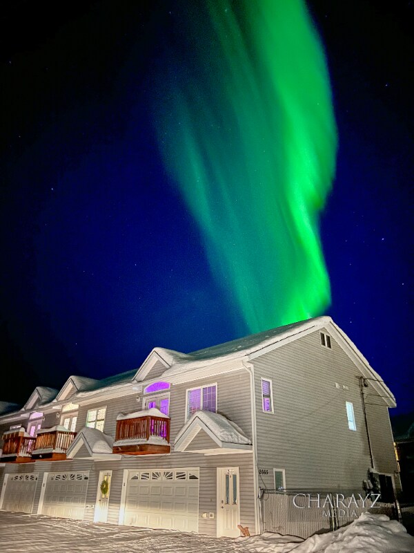 Building Photo - 2665 Bald Eagle Ct