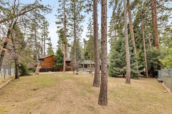 Building Photo - Mountain Lodge Home 1 Mile Away from the C...