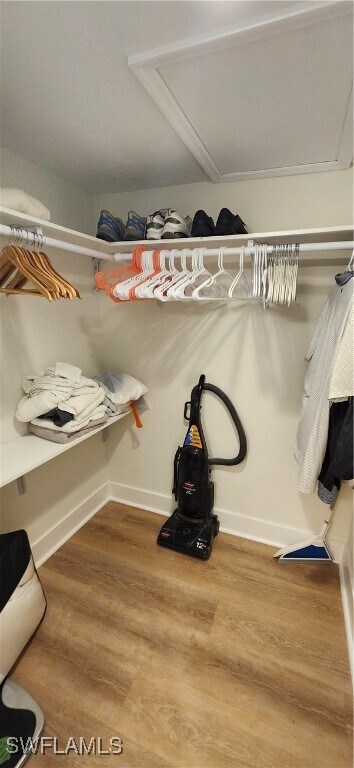 Building Photo - 1051 Foxfire Ln