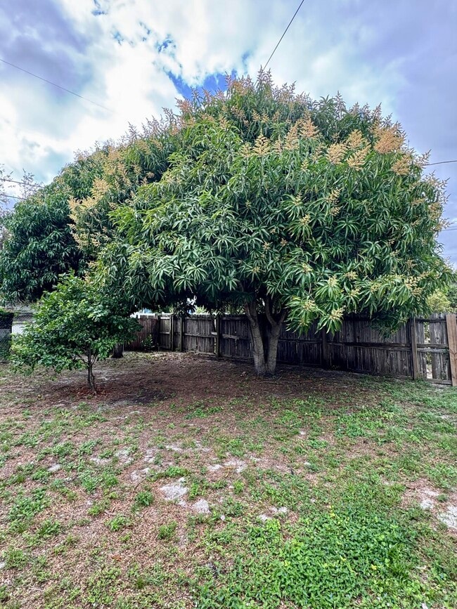 Building Photo - 350 Cypress Dr