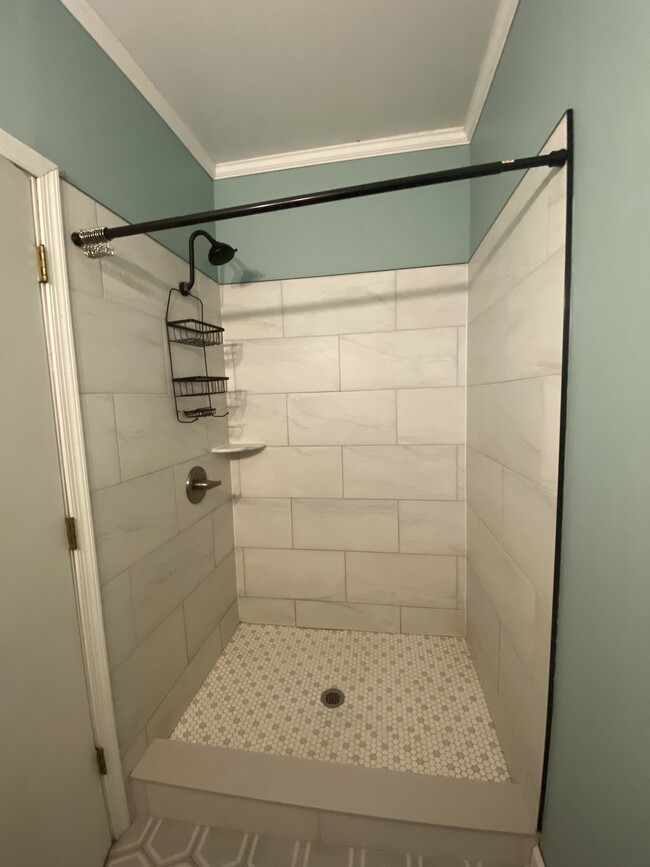 Master Bathroom Shower (Level 1) - 107 Blue Ridge St