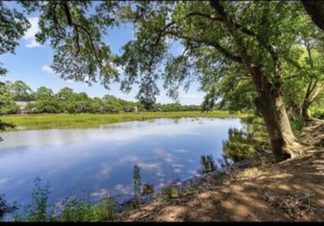 Building Photo - Charming One-Bedroom Condo with Marsh View...