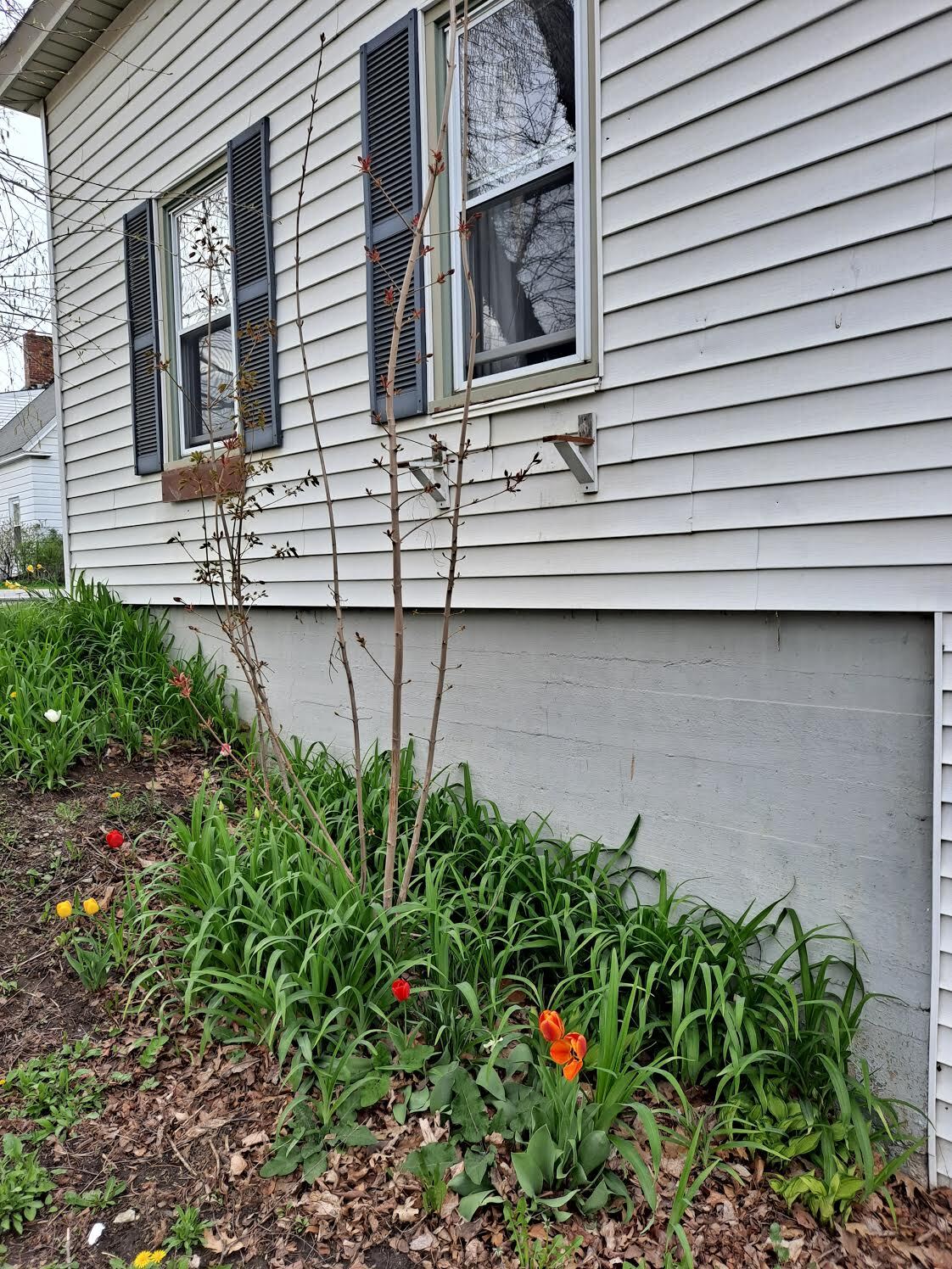 South side - 345 Main St