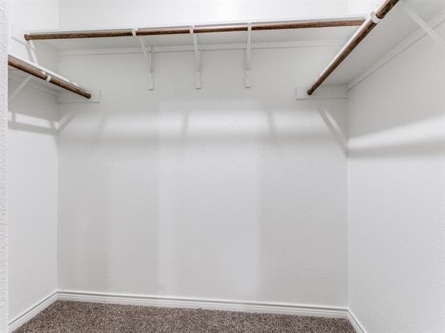 Building Photo - 4120 Spur Trail Dr