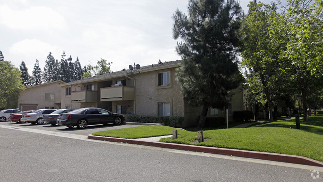 Primary Photo - Mango Tree Apartments