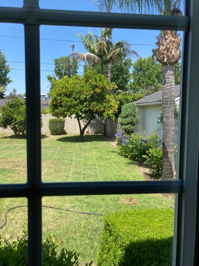 view from 2nd Bedroom - 4715 Allott Ave