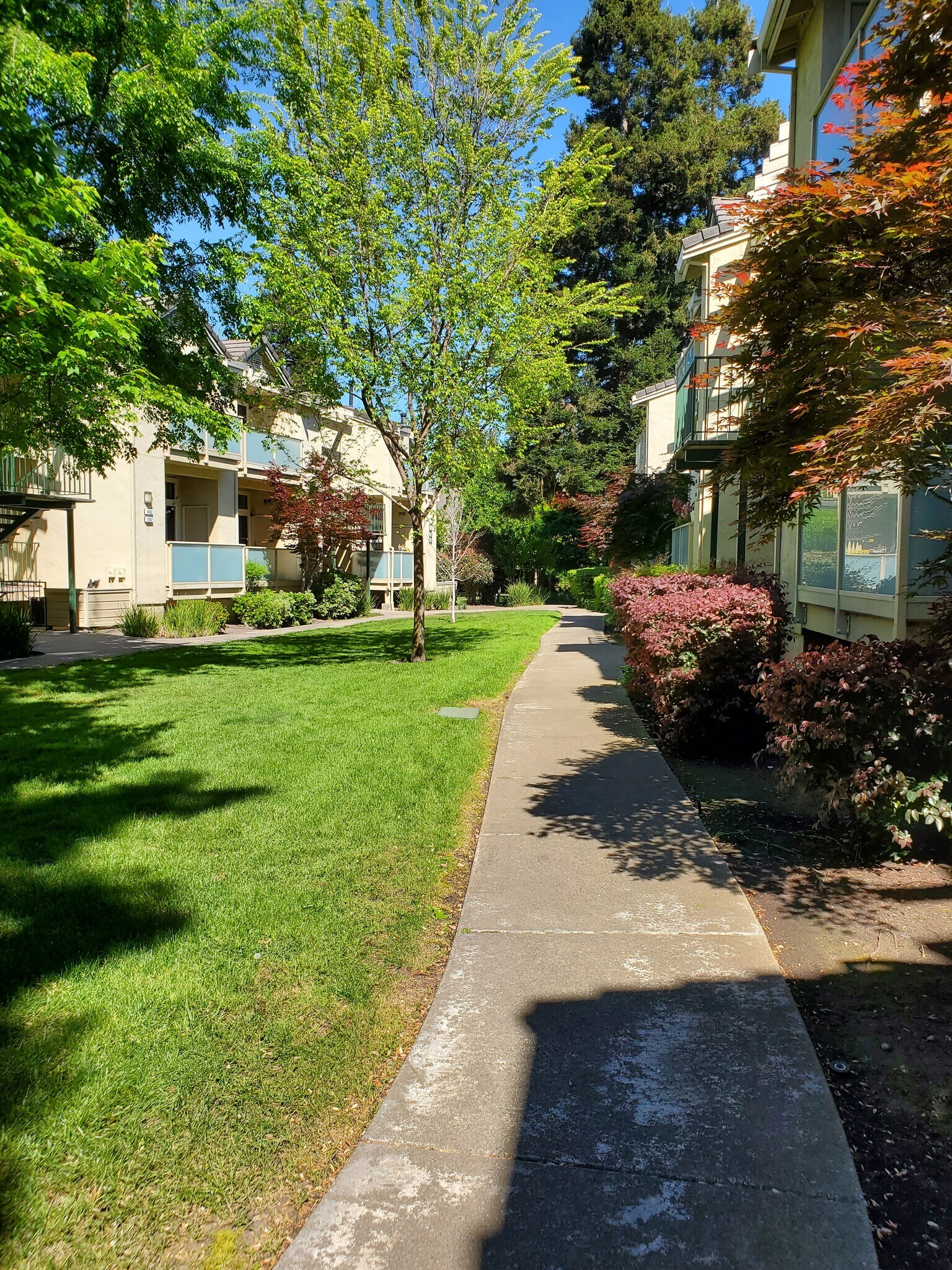 Building Photo - 2072 Fostoria Cir